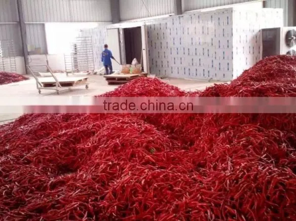 Commercial Vegetable Red Chilli Drying Machine photo-4