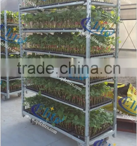 53 Plywood Base For Flower Trolley ,Welding Mesh Base For Flower Trolley, Pot Plant Trolley Base photo-4