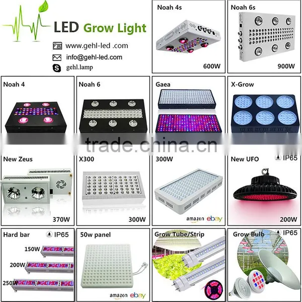 Growing Bulbs For Garden Greenhouse and Hydroponic Full Spectrum Growing photo-6
