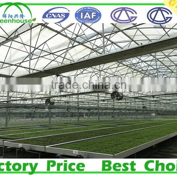 Galvanized Wire Mesh Greenhouse Rolling Benches photo-3