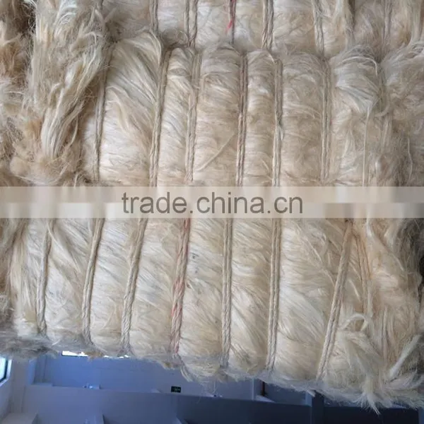 Gypsum Material 100% Rubber Fibre Natural Raw Bleached Textile uv ug Grade Sisal Fiber Price photo-4