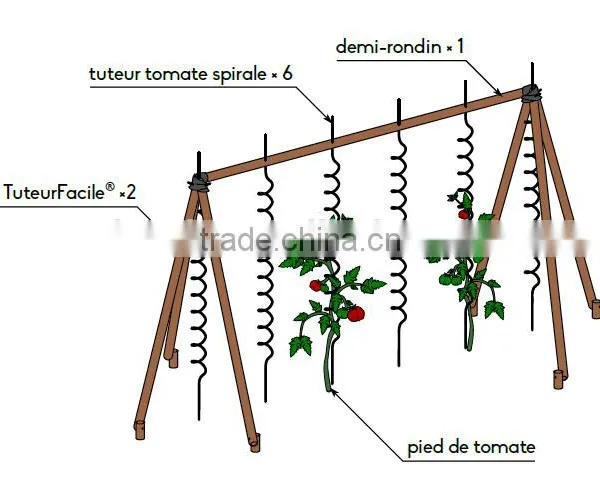 Powder Coated Tomato Spiral Wire photo-2