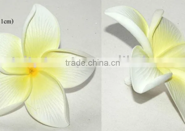 Hawaiian Foam Flower Frangipani Plumeria (KAS)
