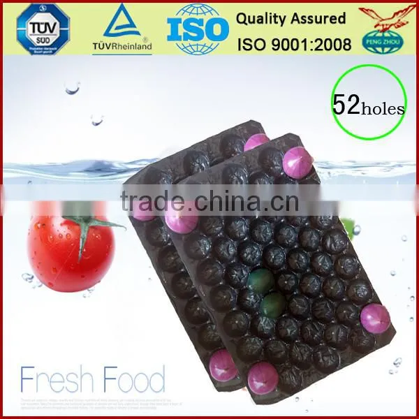 Customed SGS/FDA Testing PP Fruit Pear Alveols Tray photo-5