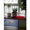 China Sodium Metabisulfite Price