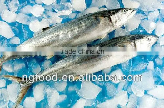 Seafood Spanish Mackerel photo-3