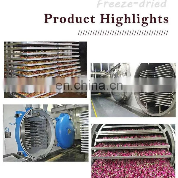 Lyophilizer 200 Square Freeze Drying Machine Sublimation Condensation Dryer Vacuum Lyophilizer Price photo-5