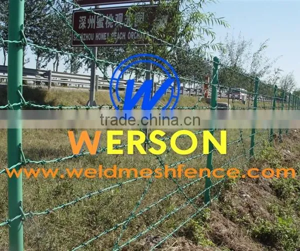 PVC Coated Barbed Wire photo-6