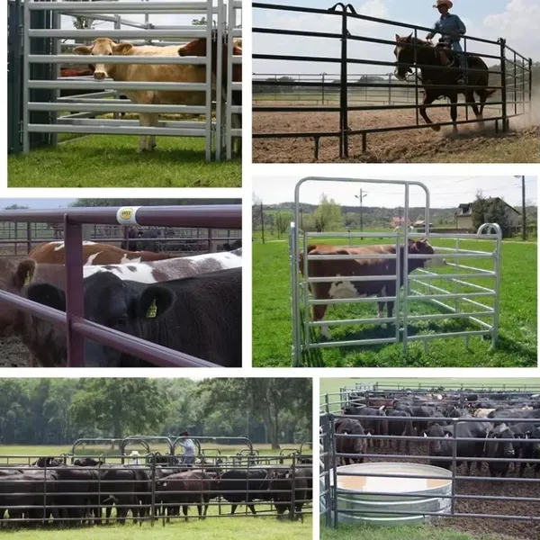 2025 New Model Galvanized Steel High Quality Farm Animal Used Livestock Fence Cattle Horse Sheep Panels Corral Gate photo-3