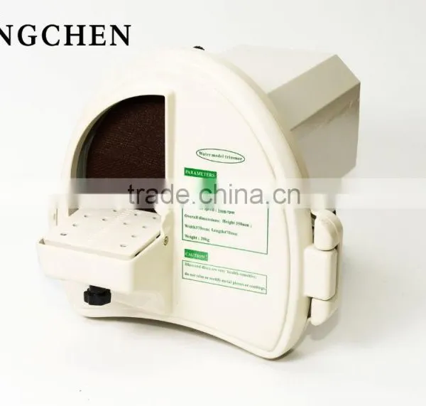 dental teaching models/dental study model/dental education models