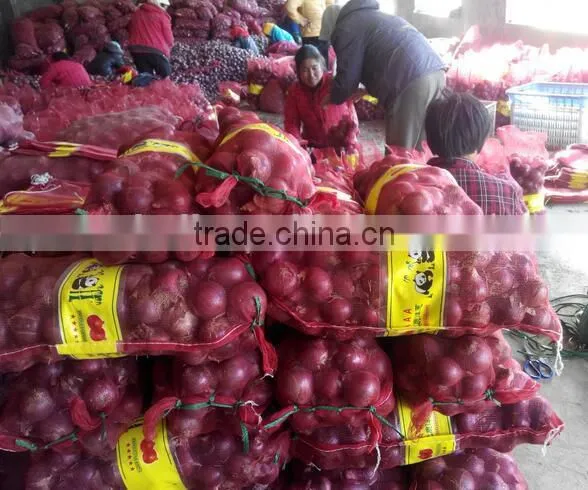 2016 New Crops Red Onion photo-4