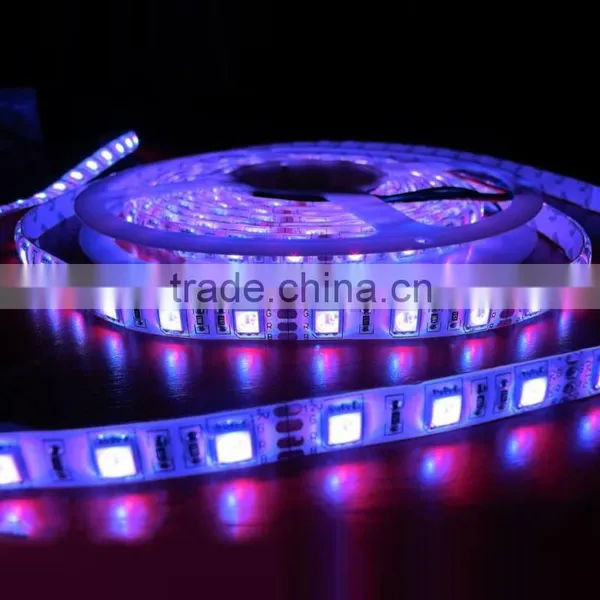 SMD5050 60leds IP65 Flexible LED Strip Lights 12v photo-2