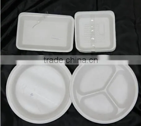 Good Quality Foam Fast Food Box Vacuum Forming Machine EPS-700/1200 photo-3
