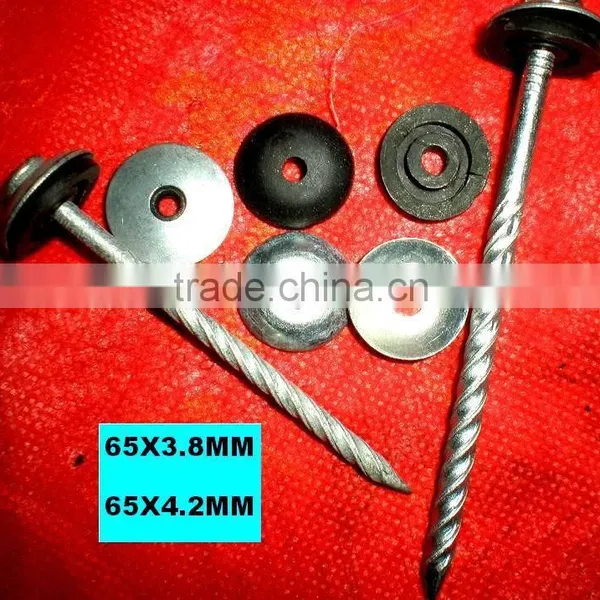 Togo Market Twisted Nails photo-3