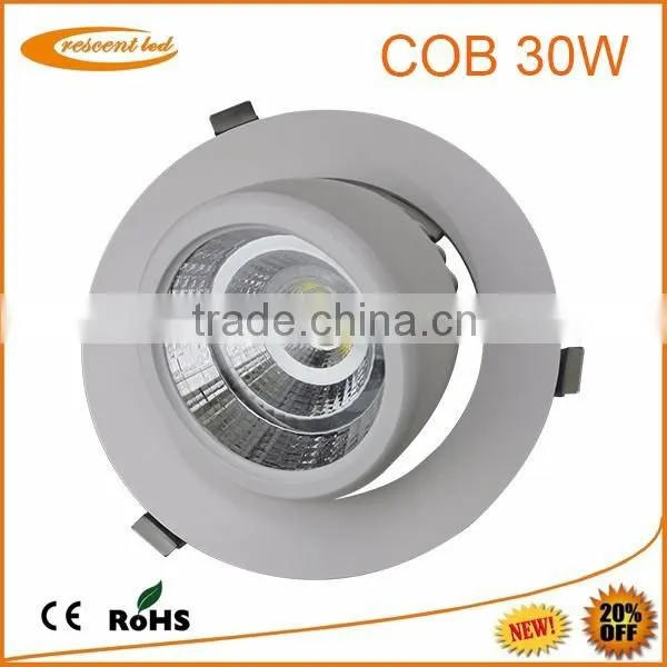 LED Indoor Downlight COB Gimbel Down Light CE/Rosh Listing 2015 New Arrivel Hot Design Embedded Light 15W photo-4