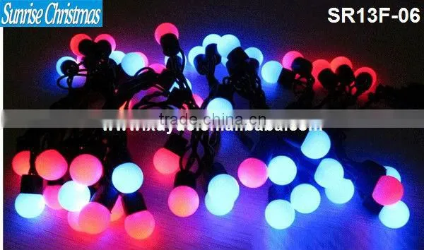 LED Christmas Light/ LED Christmas Outdoor Lighting (SR13F-06)