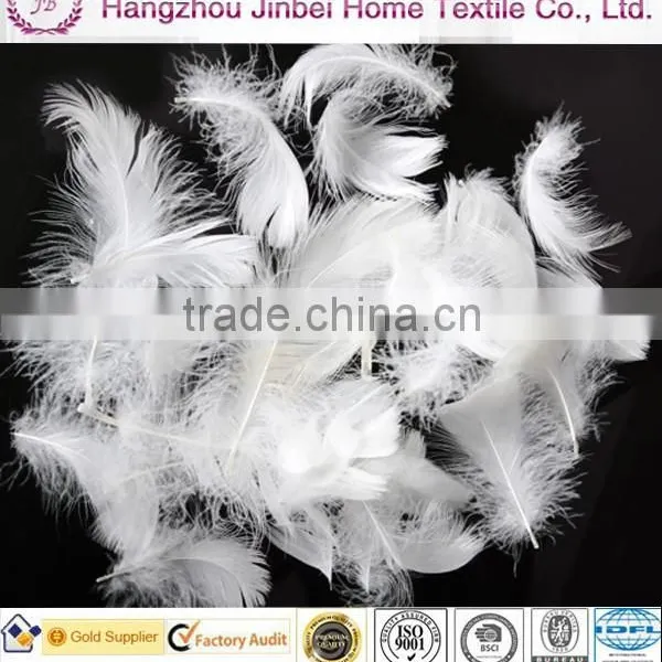 Hot Sale Washed White Duck Down Goose Down Feather photo-4