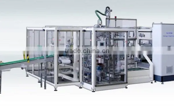 Salt bags case packer, case packaging machine