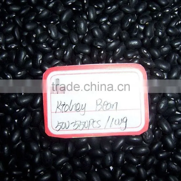 Small Black Bean Chinese Origin photo-3