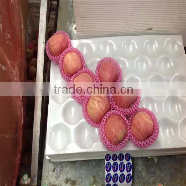 Apple Supplier From China /2016new Crop Fresh Apple photo-2