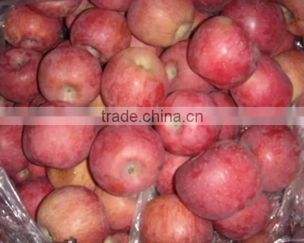 Fresh Qinguan Apple photo-3