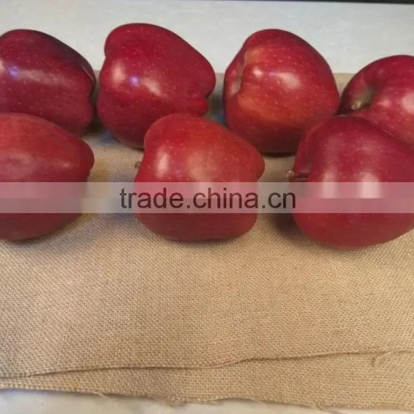2016 New Crop New Season Huaniu Apple Fresh Apple China Gansu Tianshui Apple