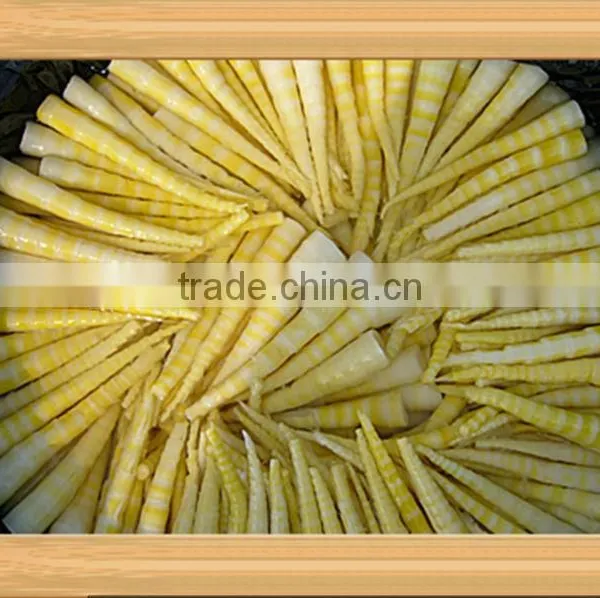 Wholesale Organic Brined Bamboo Shoot photo-2