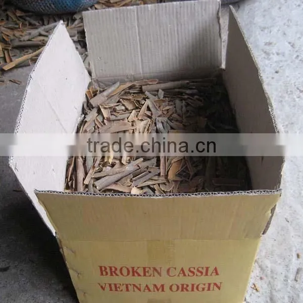 VIETNAM BROKEN CASSIA, HIGH QUALITY, BEST PRICE (+841657106604 - WHATSAPP) photo-3