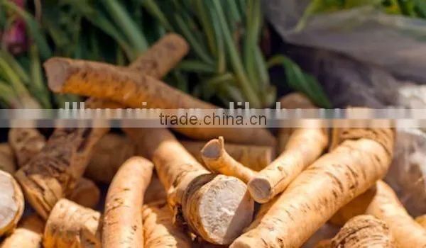 First Class Horseradish photo-3
