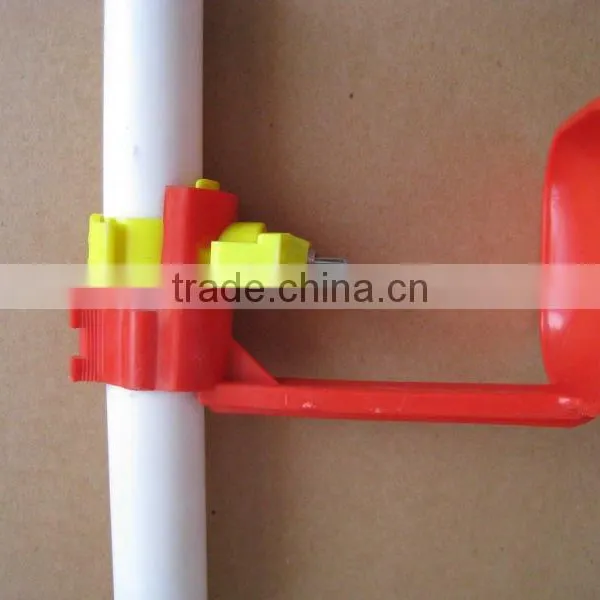 poultry drinking system for chicks