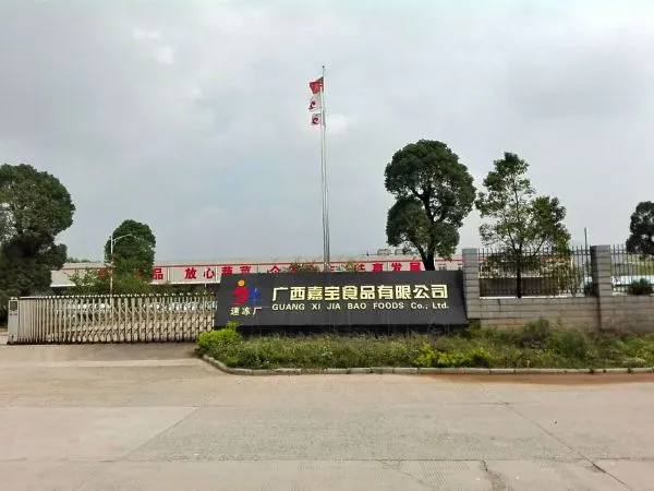 Guangxi Jiabao Foods Co.,Ltd company overview - view 4