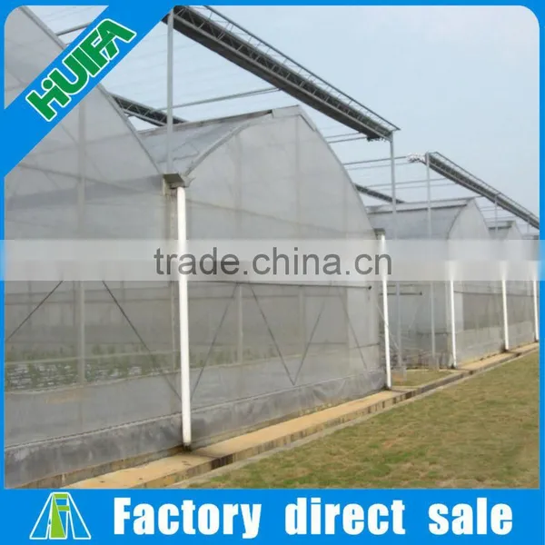 China Commercial Multi-Span Greenhouse Polycarbonate