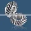 Bevel Gears
