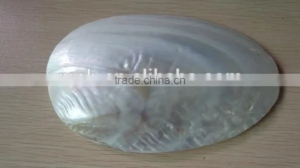 Wholesale Chinese Polished Raw River Shell photo-2