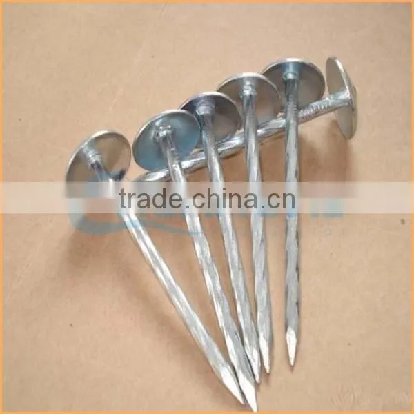 Top Quality Copper Roofing Roofing Nails Trusted Chuanghe Suppliers From Com photo-4