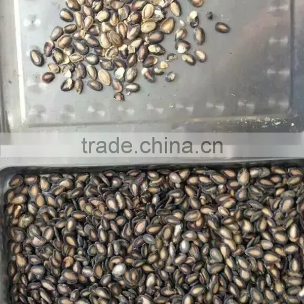 Water Melon Seeds Color Sorter photo-3