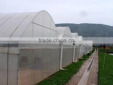 Multi-span pe Film Green House Tomato Green House Pepper Greenhouse photo-4