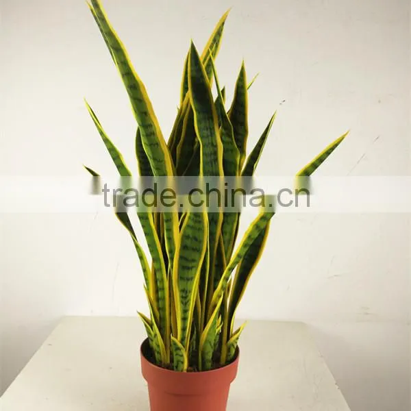 Guangzhou Shengjie Artificial Bonsai Agave Plant Indoor Decoration photo-2
