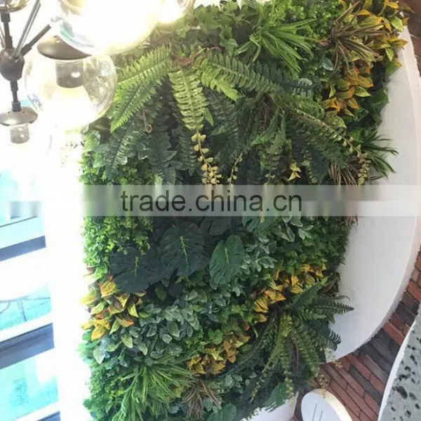 Fake Plants Garden Green Wall/artificial Green Wall for Sale photo-4