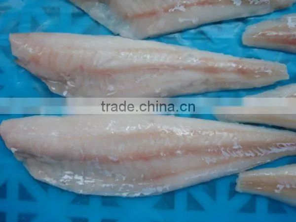 Alaska Pollock photo-4