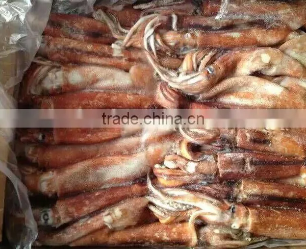 Top Quality Frozen Squid Todarodes Pacificus Frozen on Vessel With Best Freshness photo-5
