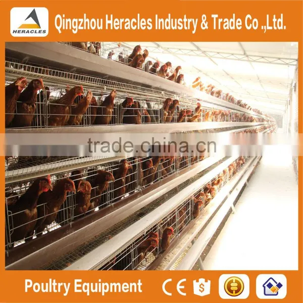 Qingtzhou Heracles High Quality Poultry Egg Layer Chicken Cage Price photo-2