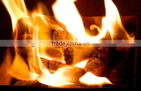 Palm Fiber Briquette