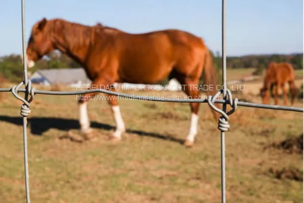Anti-rust & Anti-corrosion Fixed Knot Horse Fence photo-5