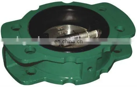 Hot Selling Double Plated DH77X Cast Iron Wafer Check Valve photo-4