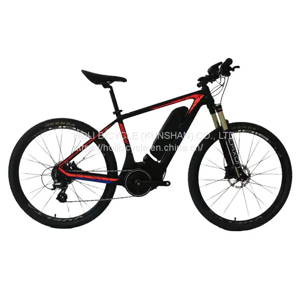 Carbon Fiber EElectric Bike MTB Mountain Ebike Carbon Electric Bicycle