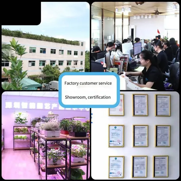 Wholesale of Cross - Border Hot - Selling All - Transparent Plastic Self - Watering Lazy Flower Pots, Special Resin Planting Pots for Amazon photo-3