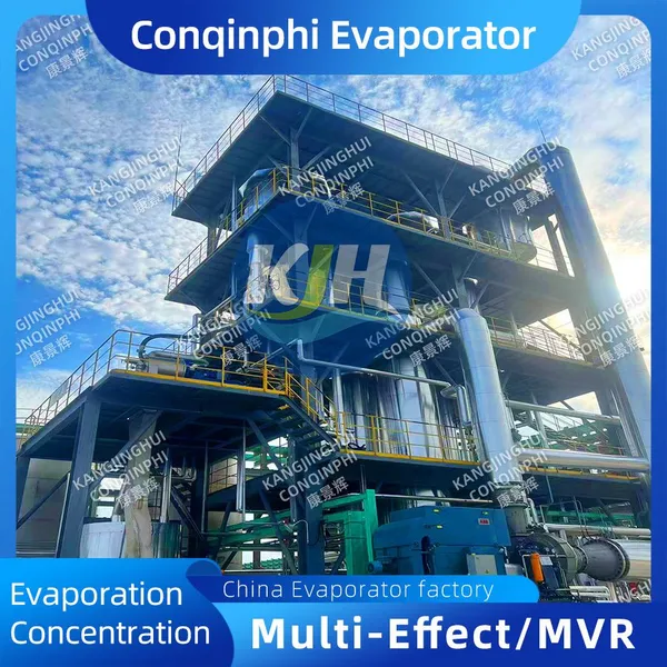 Compact MVR Falling Film Evaporator for Pharmaceutical and Food Grade Applications photo-2
