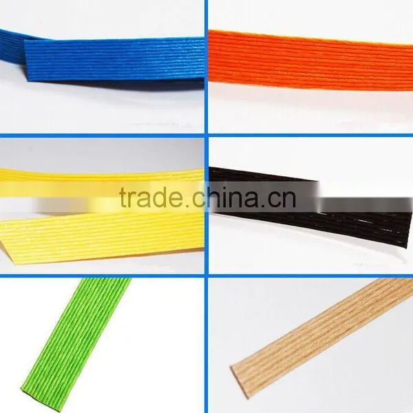 New Product Paper Rope & Twine Handle photo-3