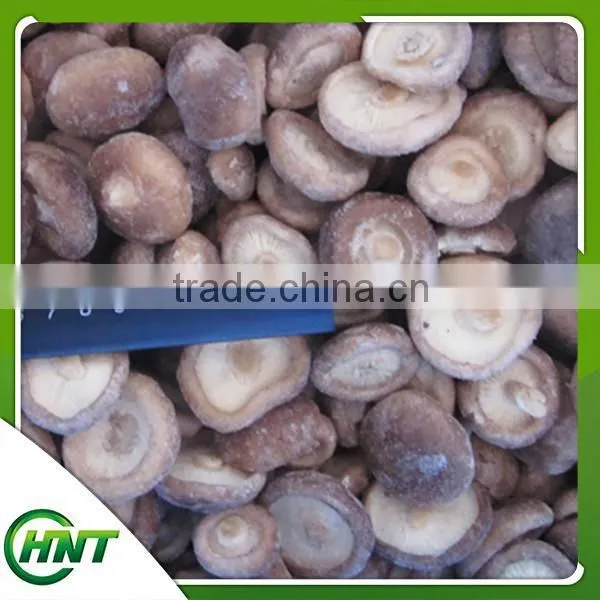 Frozen Shiitake Mushroom Iqf Shiitake Mushrooms photo-3